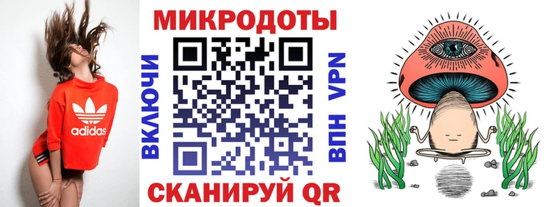закладка  Сыктывкар  Галлюциногенные грибы Psilocybe 