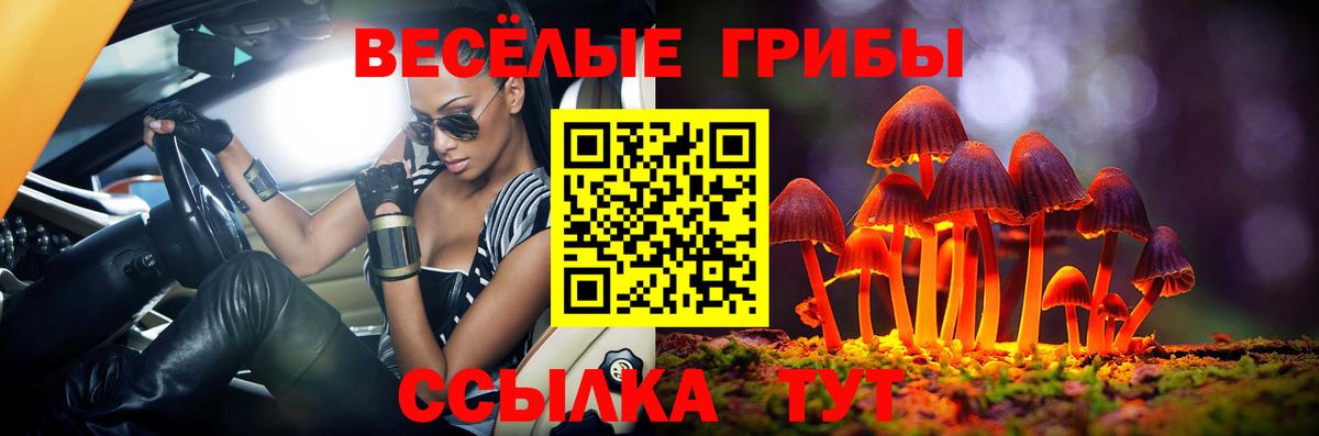 Псилоцибиновые грибы MAGIC MUSHROOMS Сыктывкар